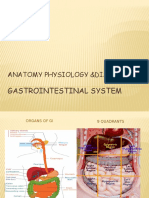 Gastrointestinal System: Anatomy Physiology &disorders