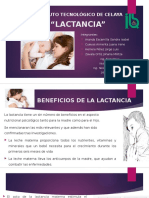 Lactancia Nutrición y Salud