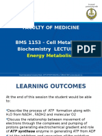 1BMS1153 BL1-Energy Metabolism