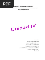 Unidad Nro 4