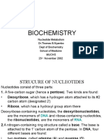 Nucleotide Metabolism PP