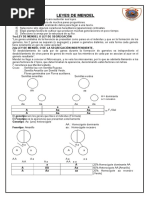 Leyes de Mendel