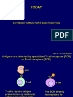 Lecture 6 Antibody Structure and Function1