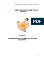 Proyecto Gallinas Ponedoras PDF