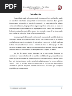 Informe de Ensayo de Ladrillos