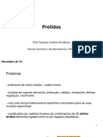 05.2. Prótidos