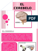 El Cerebelo