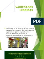 Variedades Hibridas