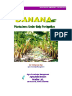 Banana Growing Manual-1 NETAFIM