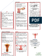 Útero Triptico