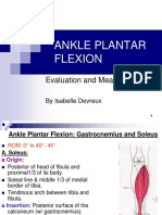 10 +Manual+Muscle+Testing+of+the+Ankle+Plantar+Flexion