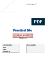 Practical File SQL Queries DBMS