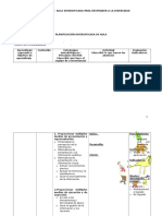 Formato Planificacion DUA 2