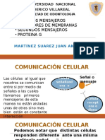 Primeros Mensajeros Final