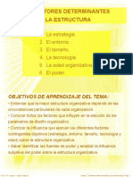 Tema 3 Factores Determinantes de La Estructura