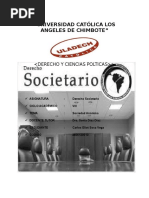 Monografia de Sociedades Anonimas