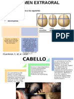 Examen Extraoral 2da Parte Sol