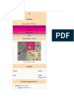 Protista PDF