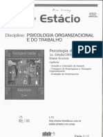 Psicologia Do Trabalho Diane Krumm Patre PDF