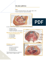 Piso Pelvico