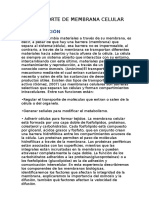 Informe de Transporte A Traves de La Membrana