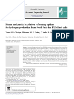 Steam and Partial Oxidation Reforming Options For Hydrogen Production From Fossil Fuels For PEM Fuel Cells