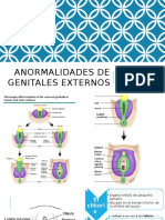 Genitales Externos Ginecologia