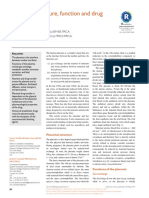 Placental Structure, Function and Drug Transfer