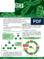 Apostila Citogenetica Gratis