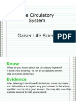 Seventh Grade Circulatory System