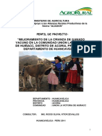 Proyecto Vacuno Occoro PDF