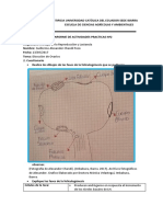 Chandi.g. Informe Diseccion de Ovarios