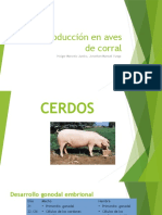 Reproducción en Cerdos y Aves de Corral