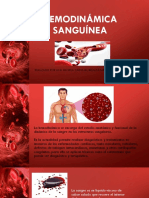 Hemodinámica Sanguínea