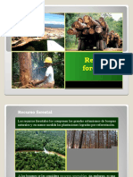 Recursos Forestales