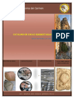 Catalogo de Rocas Sedimentarias - LDGH