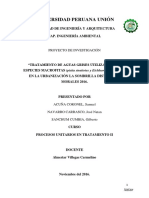 "Tratamiento de Aguas Grises Utilizando Dos Especies Macrofitas (Pistia Stratiotes y Eichhornia Crassipes) ".