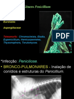 2017 1 Aspergillus, Penicillium e Fusarium 2