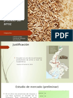 Producción y Proceso Del Arroz