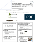 Prueba de Ciencias Naturales Fin de Mayo Terceros NOTA