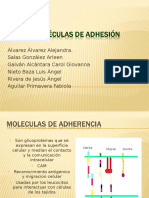 Moleculas de Adhesion Expo