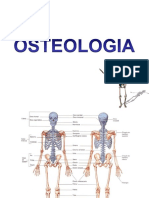 Osteologia