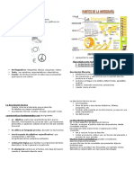 Unidad 7 Infografia y Textos Descriptivos