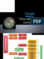 Virus Del Herpes Humano