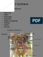 3ra Gymcana Completa