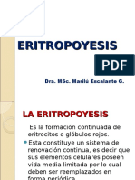 Eritropoyesis