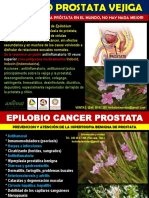 Epilobio Prostata Vejiga