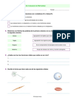 Natu 5 VV PDF