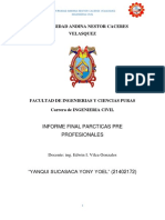 Informe Final de Practicas Pre Profesionales