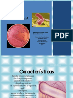 Salmonella 2017 PDF